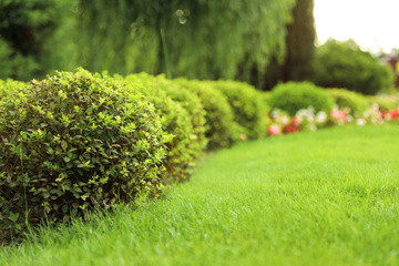 Entretien d'espaces verts