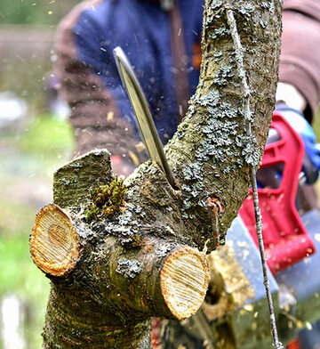 création de bassin de jardins dans les Ardennes