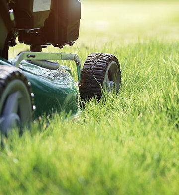 entretien d'espaces verts proche de Reims