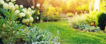 Donnez à votre jardin une nouvelle vie